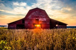 Rustic barn in farm field